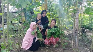Thumbnail for Indahnya belanja sayur di kebun Mbah Yati😍