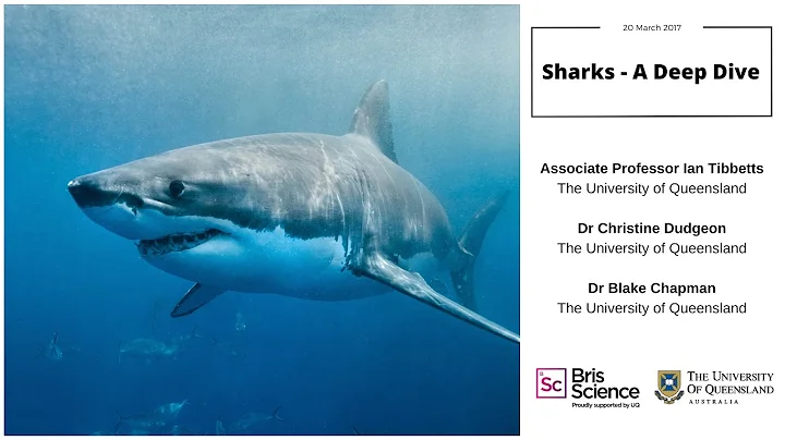 BrisScience (March 2017): Sharks - A deep dive