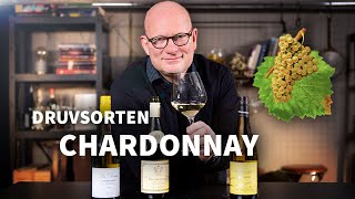 Lär dig allt om druvsorten Chardonnay | Vinsmart Academy med Michel Jamais