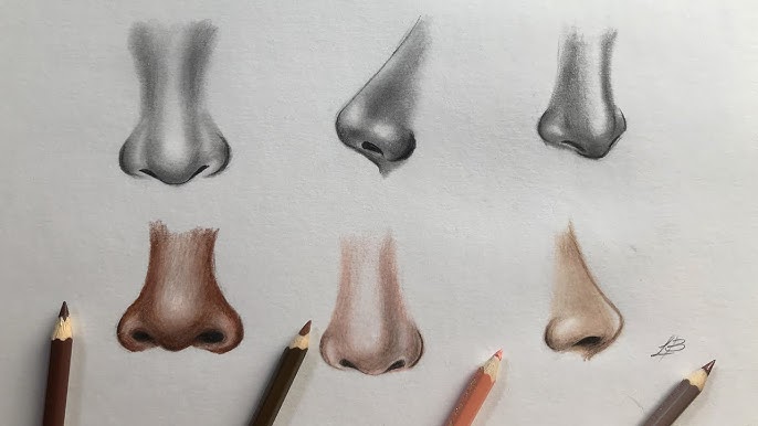 sajapxlr Profiles  Desenho de lábios, Como desenhar um nariz, Como  desenhar labios