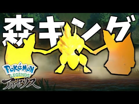 ポケットモンスターハンターブレスオブザワイルド ポケモンレジェンズアルセウス 5 Youtube