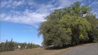 Yep, more clouds in Cool, California