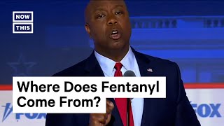 Fact Check: Where Does Fentanyl Come From?