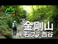 山に癒される動画　金剛山 石ブテ西谷（2017年夏登山　大阪府）