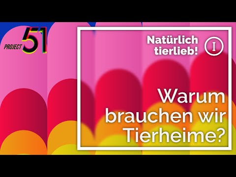 Video: Brauchen Sie Tierheime