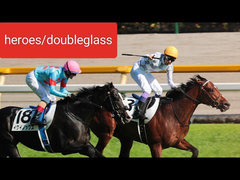 【永久保存版神曲】中央競馬 GIのウイニングランで流れる感動的BGM HEROES英雄/doubleglass#JRA #競馬 #BGM #ウイニングラン #g1#congratulations#神曲
