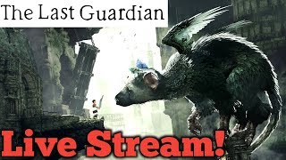 The Last Guardian Live Game Stream In The Rafcave