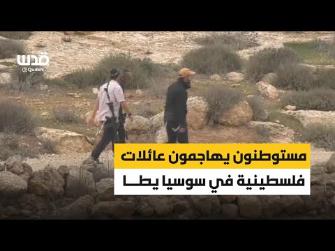 مستوطنون يهاجمون عائلات فلسطينية في خربة سوسيا بمسافر يطا