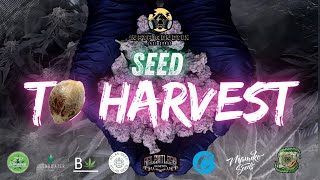 SEED TO HARVEST | GMO | TROP CHERRY | THIN MINT GSC | DANTES INFERNO | SUPER SOUR RUNTZ | & MORE!!!!