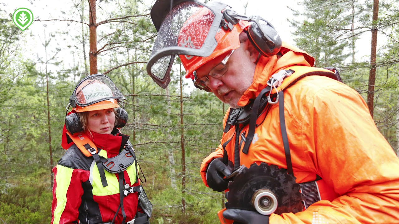 Metsäopintoihin aikuisiällä | Metsälehti