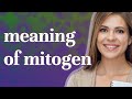 Mitogen  meaning of mitogen
