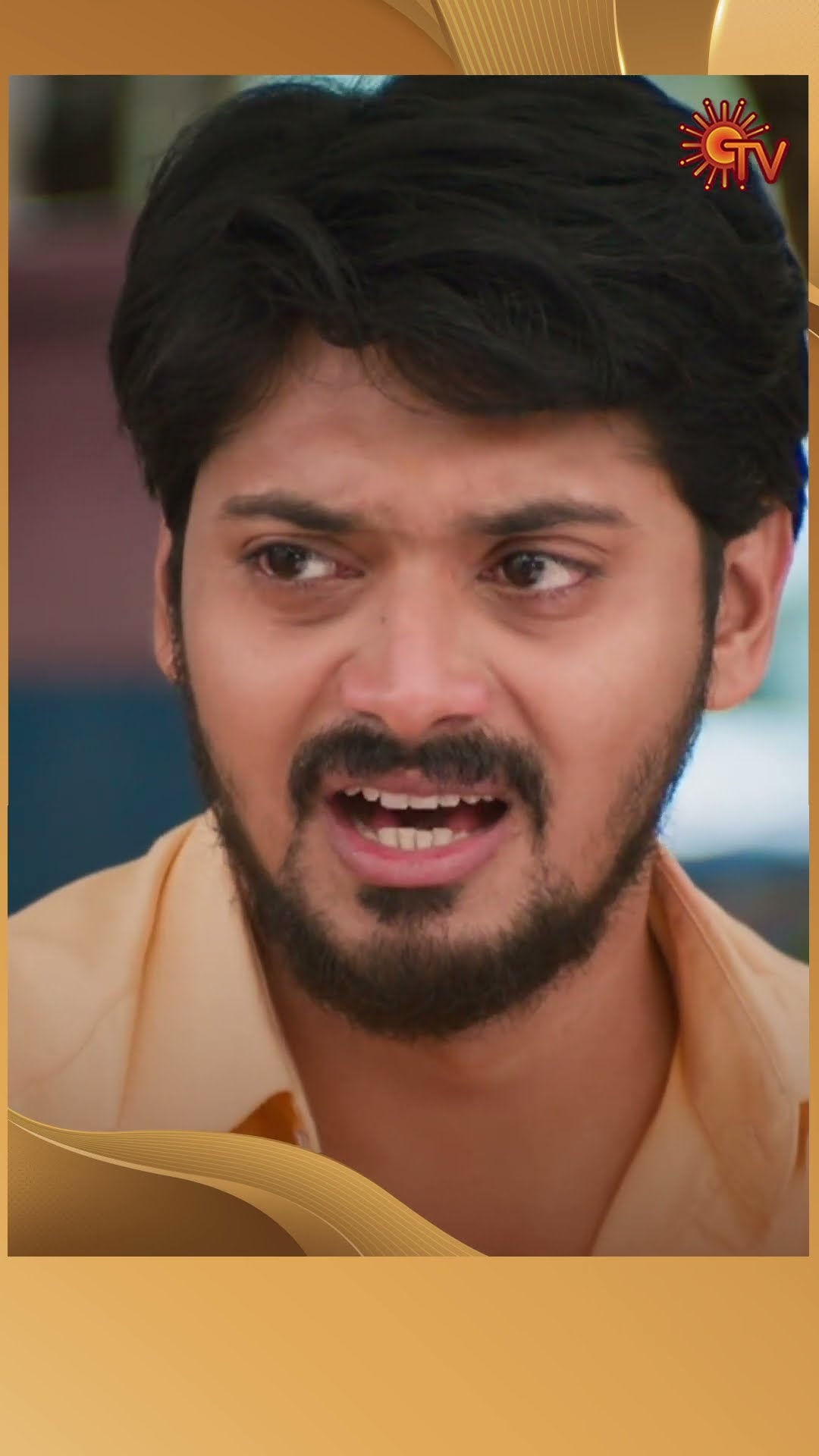 #Ranjani #SunTV #shorts #tamilserial