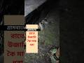 রাতে উজানি কৈ মাছ ধরা #viralshorts #সাহিত্য_ও_দর্শন #viralvideo #fishing #গ্রামবাংলা #villagelife