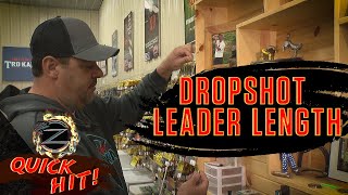 DROPSHOT LEADER LENGTH - ZONA SHOW DIRT -Quick Hit 1