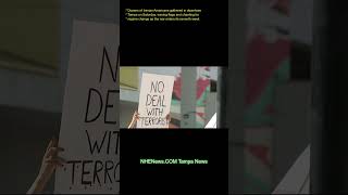 Dozens of Iranian Americans gathered in downtown Tampa on Saturday, waving flags and chanting for re
