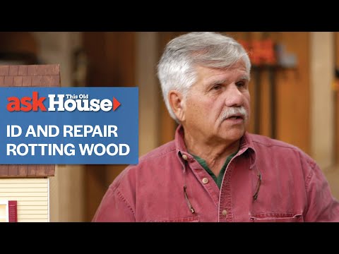 How to Easily repair minor Wood Rot - Delineate Your Dwelling