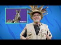 San Diego Zoo Wildlife Explorers Corner Episode 2: Animal Habitats