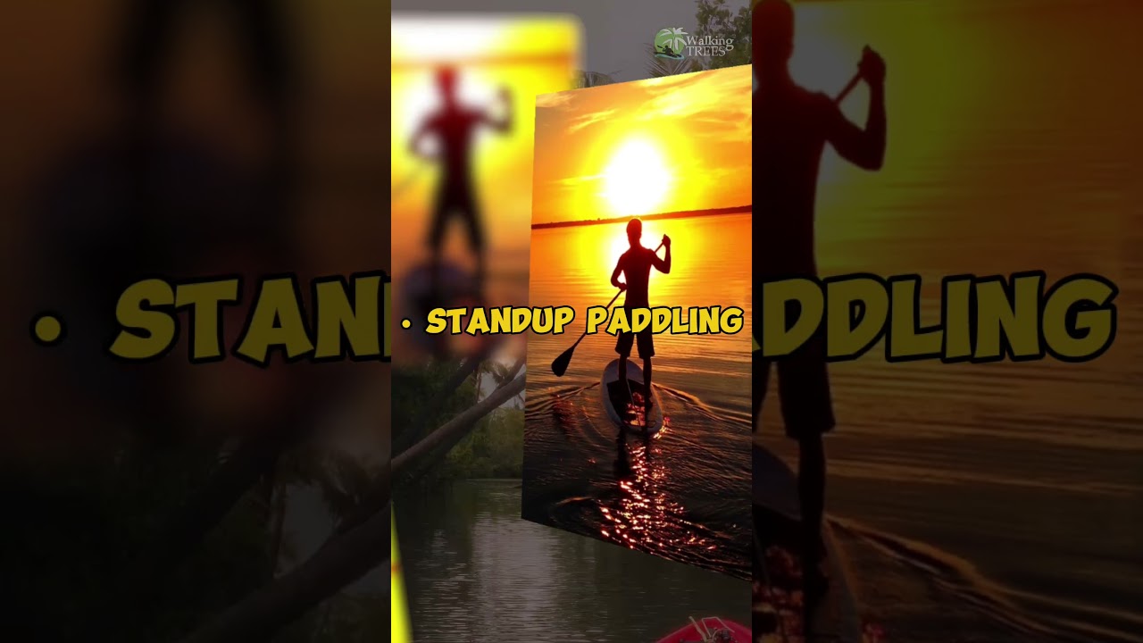 Walking Trees Inauguration | Mangrove Kayaking Adventure in Kollam 