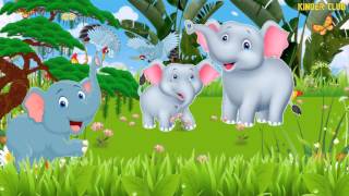 Мультик про Животных   Слоны