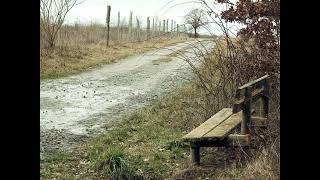 Path