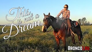 This Is Not a Dream - Equestrian - Halsey's Gasoline