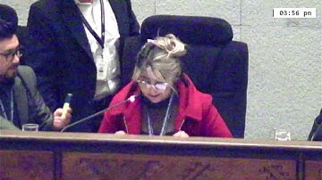 11a Sesión Ordinaria - Cámara de Diputados