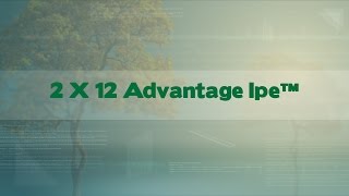 2 X 12 Advantage Ipe™