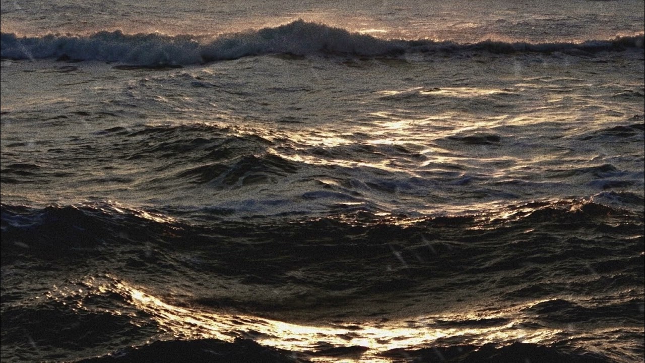 𝙿𝚕𝚊𝚢𝚕𝚒𝚜𝚝 당신 편에 서서