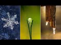 My 5 Best Ideas for Winter Macro Photography