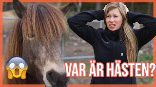 OLIKA TYPER INNAN HÄSTTÄVLING