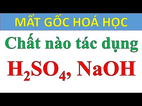 Video [Mất gốc Hóa - Số 46] - Hướng dẫn Chất nào tác dụng... - youtube