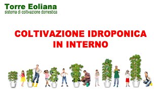 Coltivazione Idroponica In Interni Con La Torre Eoliana.