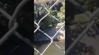 man falls into Fresno canal FFD water rescue pulls him out