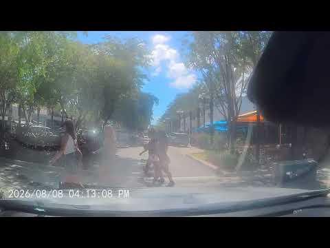 Dashcam Captures Florida Man Doing Something NO Driver Should Attempt