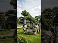 A pouncing Tiger Topiary #goviral #uk #usa #gardenart #gardenart #trending #viral #ytshorts #reels