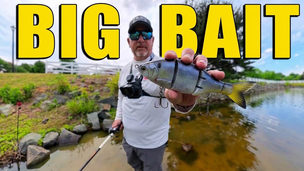 Catching Bass on Big Swimbait