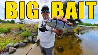 Catching Bass on Big Swimbait