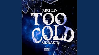 Too cold (feat. Siddakid)