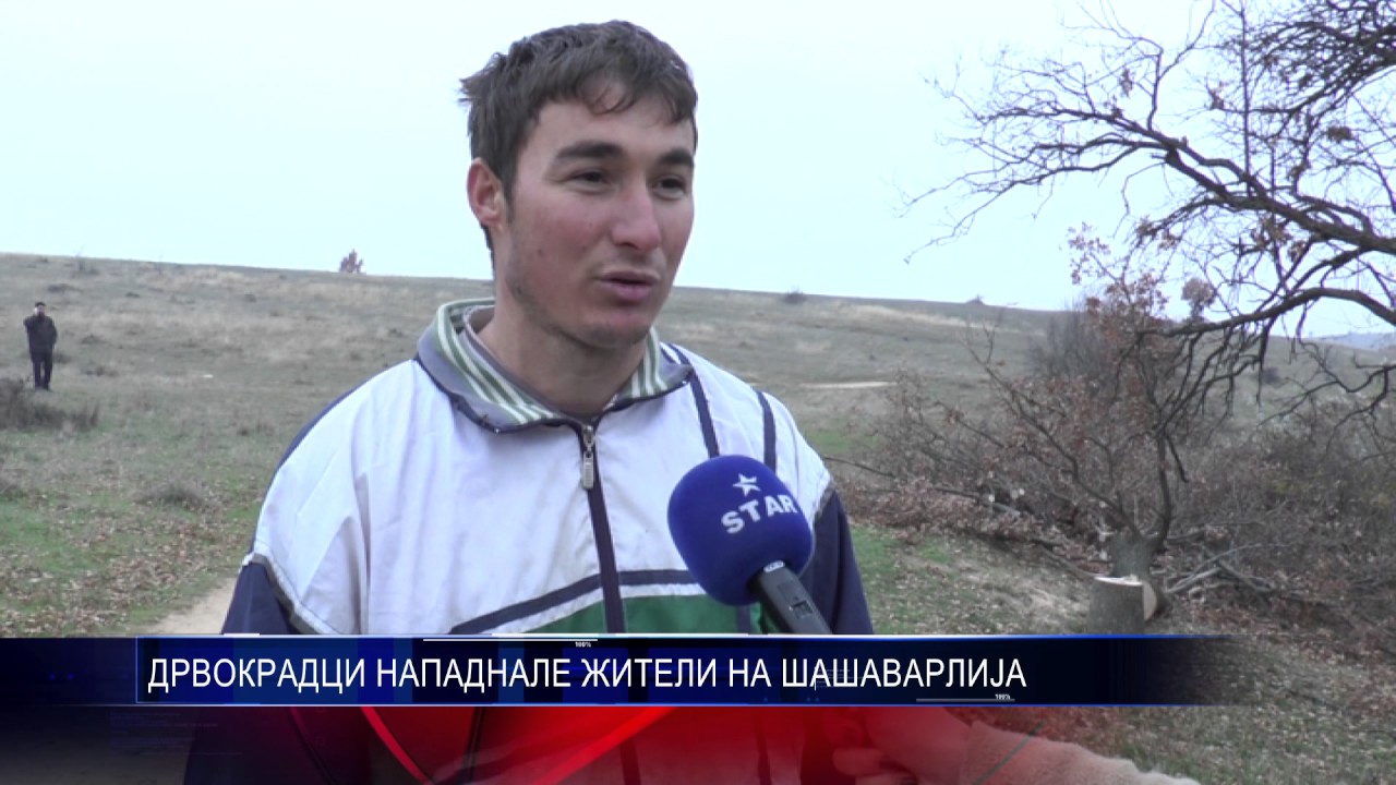 ДРВОКРАДЦИ НАПАДНАЛЕ ЖИТЕЛИ НА ШАШАВАРЛИЈА 21 11 2016