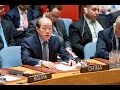 中国常驻联合国代表刘结一 5日在安理会有关叙利亚发生化学武器攻击事件的会议上发言