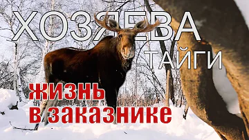 XОЗЯЕВА ТАЙГИ. Что такое заказники...