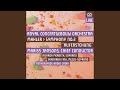 Capture de la vidéo Symphony No. 2 In C Minor, "Resurrection": V. Im Tempo Des Scherzos (Live)