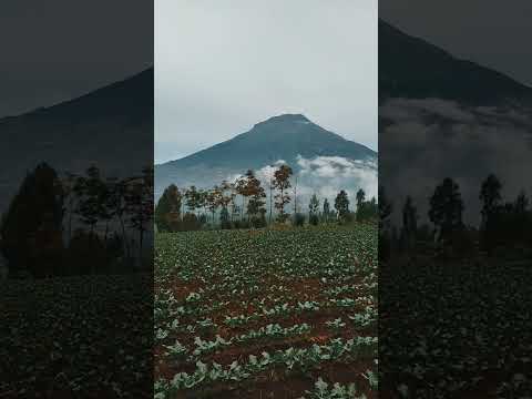 Video: Yogyakarta Kraton, Java Qendrore, Indonezi