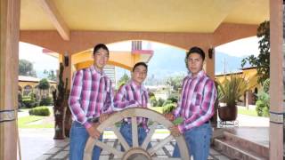 Ingenios Musical Y Vas Allorar
