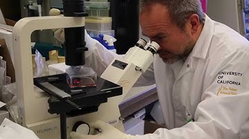 Immunology and Pathogen Detection Resources Core