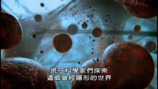 (BBC)細胞內部的秘密宇宙 Secret Universe Journey Inside the Cell