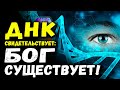 ДНК свидетельствует: Бог существует!