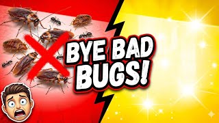 How to Remove Bad Bugs From Your Home | Complete Pest Control Guide 2026
