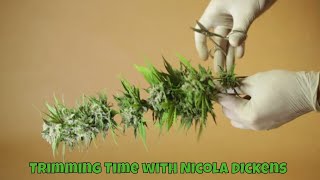 Trimming Time with Nicola Dickens and Free My Cure!