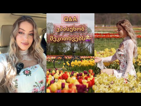 Q\u0026A | ვპასუხობ შეკითხვებს | Tulip farm 🌷͙֒
